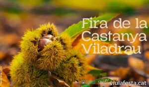 La Fira de la Castanya de Viladrau és un esdeveniment anual que celebra una de les tradicions més arrelades a aquesta petita localitat situada al parc natural del Montseny