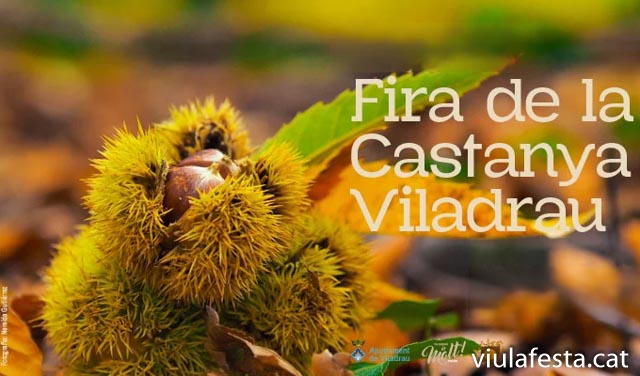 La Fira de la Castanya de Viladrau és un esdeveniment anual que celebra una de les tradicions més arrelades a aquesta petita localitat situada al parc natural del Montseny