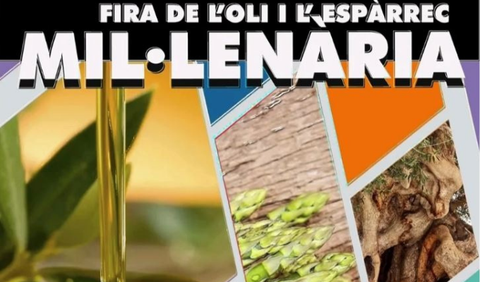 Festa de l'oli i l'espàrrec de Godall.Mil·lenària La Festa de l'Oli i l'Espàrrec de Godall és un esdeveniment mil·lenari que ret homenatge a dos dels productes més preuats d’aquest municipi del Montsià: l’oli d’oliva verge extra i els espàrrecs de marge. Aquesta celebració, que té lloc cada any al març, posa en valor la tradició agrícola i gastronòmica de la zona, atraient visitants, productors i amants de la bona cuina. L’oli d’oliva verge extra de Godall, elaborat principalment amb olives de les varietats morruda, sevillenca i farga, destaca pel seu sabor suau, afruitat i d’alta qualitat. Un dels actes més esperats de la festa és l’esmorzar popular, on el pa torrat amb oli, botifarra i espàrrecs de marge es converteix en el plat estrella. Els espàrrecs de marge, recol·lectats a mà als camps i boscos del voltant, són un ingredient molt apreciat per la seva frescor i sabor intens. Durant la festa, es poden tastar en diferents preparacions gastronòmiques, demostrant la seva versatilitat a la cuina. A més de la gastronomia, la festa ofereix un mercat de productes locals, activitats per a tota la família, actuacions musicals i exposicions relacionades amb el món de l’oli i els espàrrecs. La Festa de l'Oli i l'Espàrrec de Godall és una tradició arrelada al territori, que permet gaudir dels sabors autèntics de la terra, promoure els productes de proximitat i celebrar la riquesa cultural i gastronòmica de la comarca.