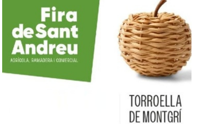 “Fira de Sant Andreu 2025 a Torroella de Montgrí amb parades d’artesania i ambient festiu.”