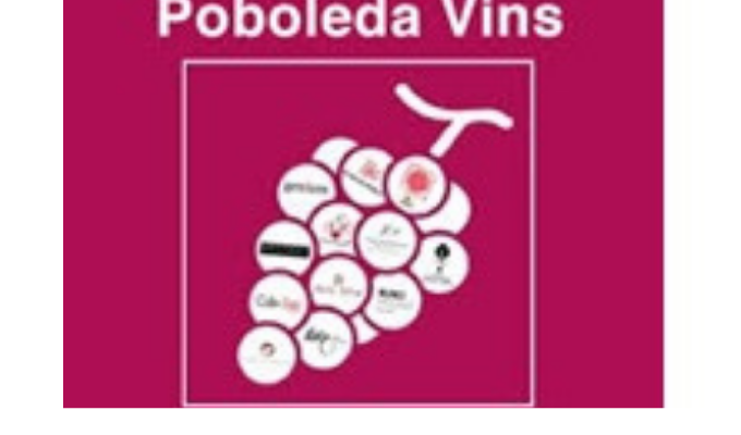 Tast de vins a Poboleda amb copes i vinyes del Priorat al fons durant la festa del vi